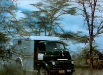 Watch Jungle Safari (Short 1950)