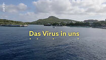 Watch Das Virus in uns