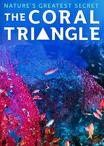 Watch Coral Triangle
