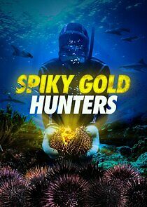 Watch Spiky Gold Hunters