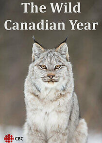 Watch The Wild Canadian Year