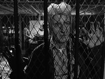 Watch Creator (Short 2022)