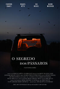 Watch O Segredo dos Pássaros (Short 2022)