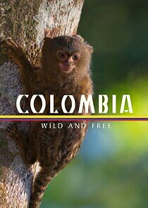 Watch Colombia: Wild and Free