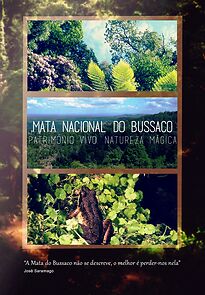 Watch Mata Nacional do Bussaco: Património Vivo, Natureza Mágica (Short 2013)
