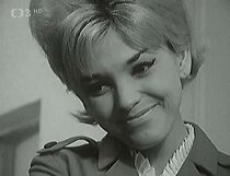 Watch Blázinec ve vsech poschodích aneb Dum ve spolecné péci (TV Short 1968)