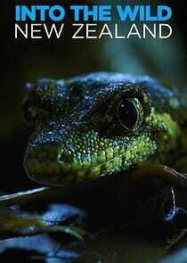 Watch Into the Wild New Zealand