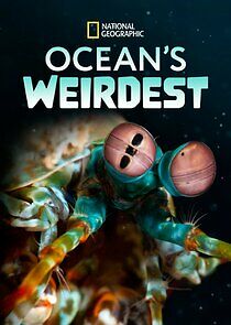 Watch Ocean's Weirdest