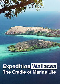 Watch Wallacea - Expedition zur Wiege der Meeresfauna