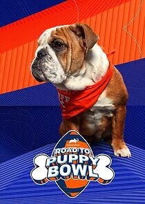 Watch Road to Puppy Bowl
