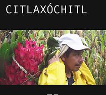 Watch Citlaxóchitl