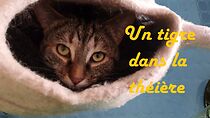 Watch Un tigre dans la théière (Short 2021)