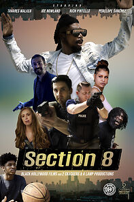 Watch Section 8