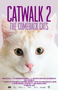 Watch Catwalk 2: The Comeback Cats
