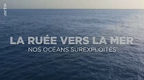 Watch Die Gier nach Meer: Wie der Mensch die Ozeane ausbeutet