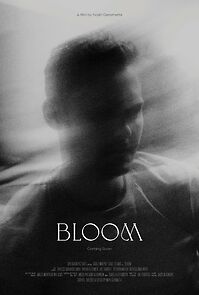 Watch Bloom