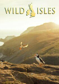 Watch Wild Isles