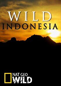 Watch Destination Wild: Indonesia
