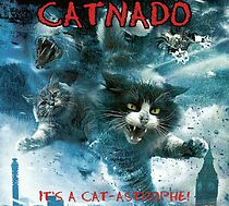 Watch Catnado