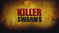 Watch Killer Swarms
