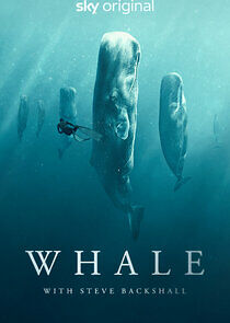 Watch Whale with Steve Backshall