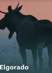 Watch Elgorado