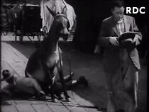 Watch Quit Yer Kickin' (Short 1931)