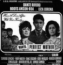 Watch Wanted: Perfect Mother