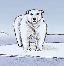 Watch Inner Polar Bear (Short)