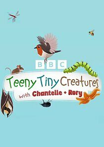 Watch Teeny Tiny Creatures