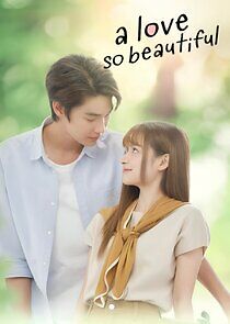 Watch A Love So Beautiful