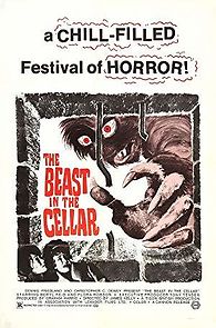 Watch The Beast in the Cellar