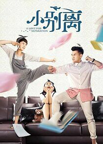 Watch A Love for Separation