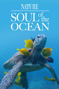 Watch Soul of the Ocean
