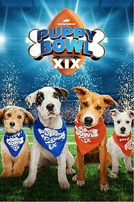 Watch Puppy Bowl XIX (TV Special 2023)