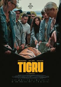 Watch Tigru