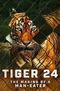 Watch Tiger 24