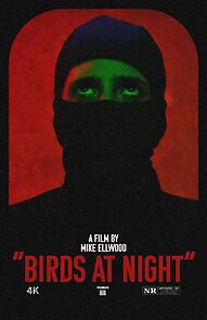 Watch Birds at Night