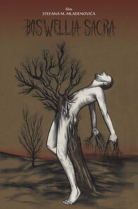 Watch Boswellia sacra (Short 2022)