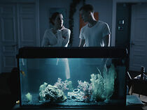 Watch Pazinimas (Short 2022)