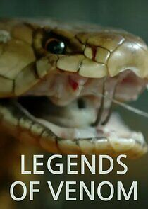 Watch Legends of Venom