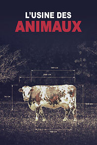Watch L'usine des animaux