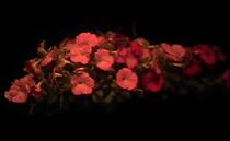 Watch The Dogsitter (Short 2005)