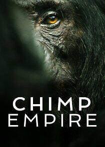 Watch Chimp Empire