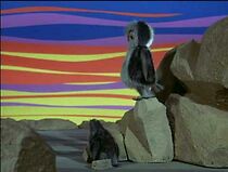 Watch The Owl and the Lemming: An Eskimo Legend (Short 1971)