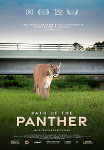 Watch Path of the Panther