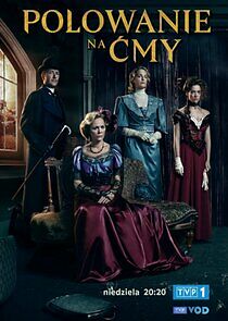 Watch Polowanie na cmy