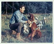 Watch Lefty, the Dingaling Lynx