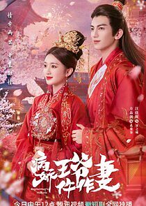 Watch Me and My Delicate Husband