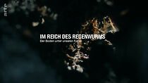 Watch Im Reich des Regenwurms - Der Boden unter unseren Füßen